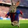 Herbert Rosales - @herbertrosales5 - TikTok