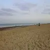 Rose Herbert - @rose.herbert3 - TikTok