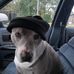 Herbert Rowe - Facebook