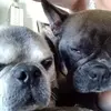 Herbert Rowe - @herbert.rowe - TikTok