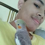 Herbert - @herbert._.ryan - Instagram