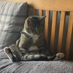 Ryan Herbert - @ryan_herbert__ - Instagram