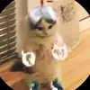 Herbert Salazar - @herbert.salazar8 - TikTok
