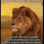 Herbertherbert Salinas - @herbertherbertsalinas - Instagram