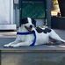 Herb Sawyer - Facebook