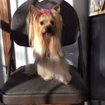 Carol Hebert-Cheffer - @hebertcheffer - Instagram