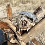 Herbert Schildt - @schildt.herbert - Instagram