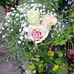 Herbert Schiler - Facebook