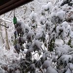 Herbert Schlecht - Facebook