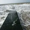 herbertschlicht - @herbertschlicht - TikTok