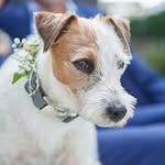 Herbert Schmitz - @herbertschmitz2 - Instagram