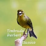 Herbert Schneider - @herbertschneider_ - Instagram