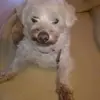 Herbert Schuster - @herbert.schuster25 - TikTok