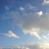 Herbert Schuster - @pupukaka_ - TikTok