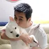 Herbert - @seeherbert - TikTok