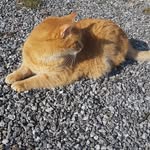Herbert Seitz - @herbert.seitz - Instagram