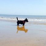 Herbert Sharp - @herbert_sharp - Instagram