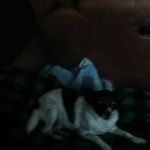 Herbert Sharp - @herbert.sharp.9 - Instagram