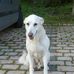 Herbert Siegel - Facebook