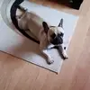 herbertsiggel - @herbertsiggel - TikTok