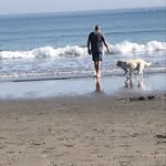 Herbert Silberstein - @herbertsilberstein - Instagram