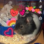 Monty Herbert Percy Simmons - @montyhpsimmons - Instagram