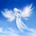 Herbert Singer - Facebook