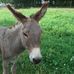 Herbert Singer - Facebook