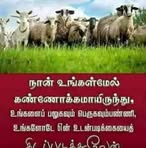 Herbert Singh - Facebook