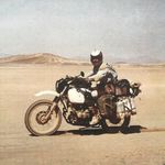 herbert sitzberger - @herbertsitzberger - Instagram