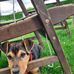 Herb Spicer - Facebook