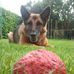 Jayne Hulbert - Facebook