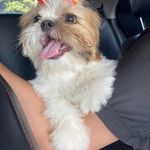 @herbertstrong_ - Instagram