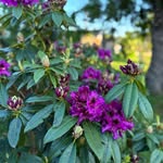 Herbert Stubblefield - @herbert.stubblefield - Instagram