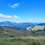 Herbert Terry - @moviogivoni - Instagram
