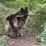 Herbert Thiel - @herbertthiel3 - Instagram