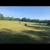 Herbie - @herbertwelden - TikTok