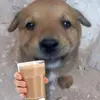 HerbertWareQAqA - @herbertwareqaqa - TikTok