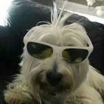 Herbert Warner - @ligongbing - Instagram