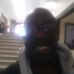Herbert Wiley - Facebook