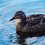 Herbert Wilke - @wilke.herbert - Instagram