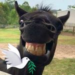 Herbert Winkler - @herbert.winkler.77 - Instagram