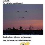 Herbert Winkler - @herbert.winkler - Instagram