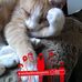 Herbert Winkler - Facebook