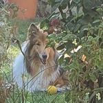 Herbert Winkler - @herbert.winkler.102 - Instagram
