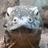 Herbert.Winkler1980 - @herbert.winkler1980 - TikTok