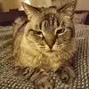 Herbert Wolf - @2180427884 - TikTok