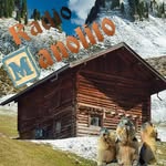 Herbert Wolf - @manolito.express - Instagram
