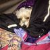 Herbert Woods - Facebook