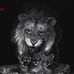 Herbert Wright - Facebook